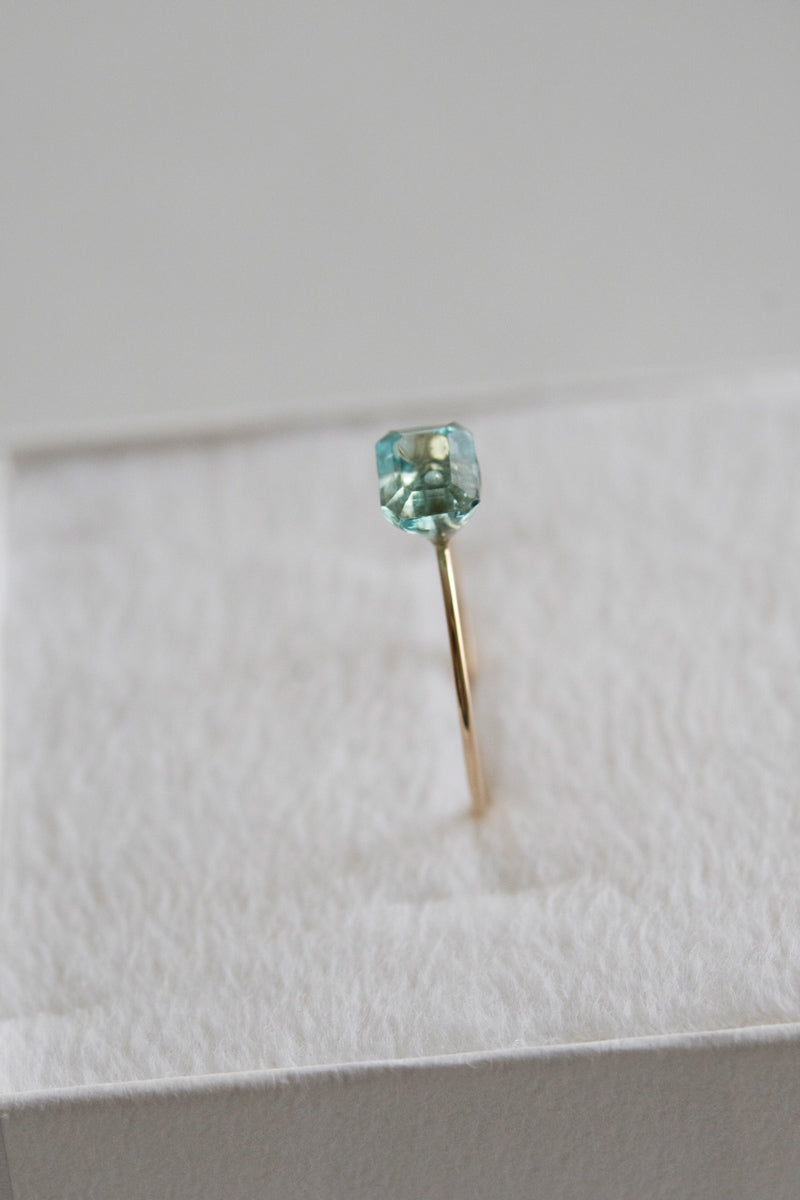 patchouli special order bohem Loose Stone Apatite ring /K10